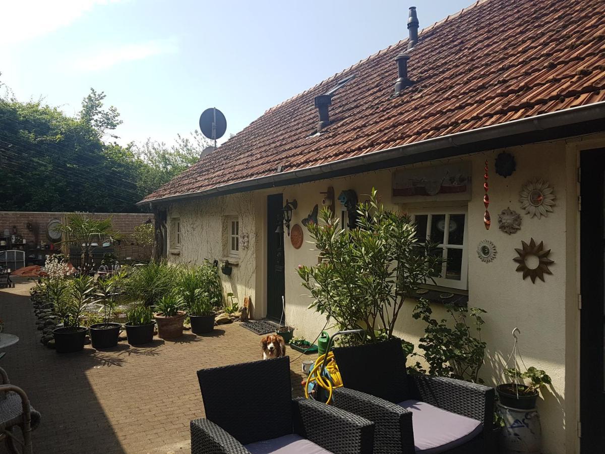 Bed and Breakfast De Boerebeemd Lieshout Exterior foto